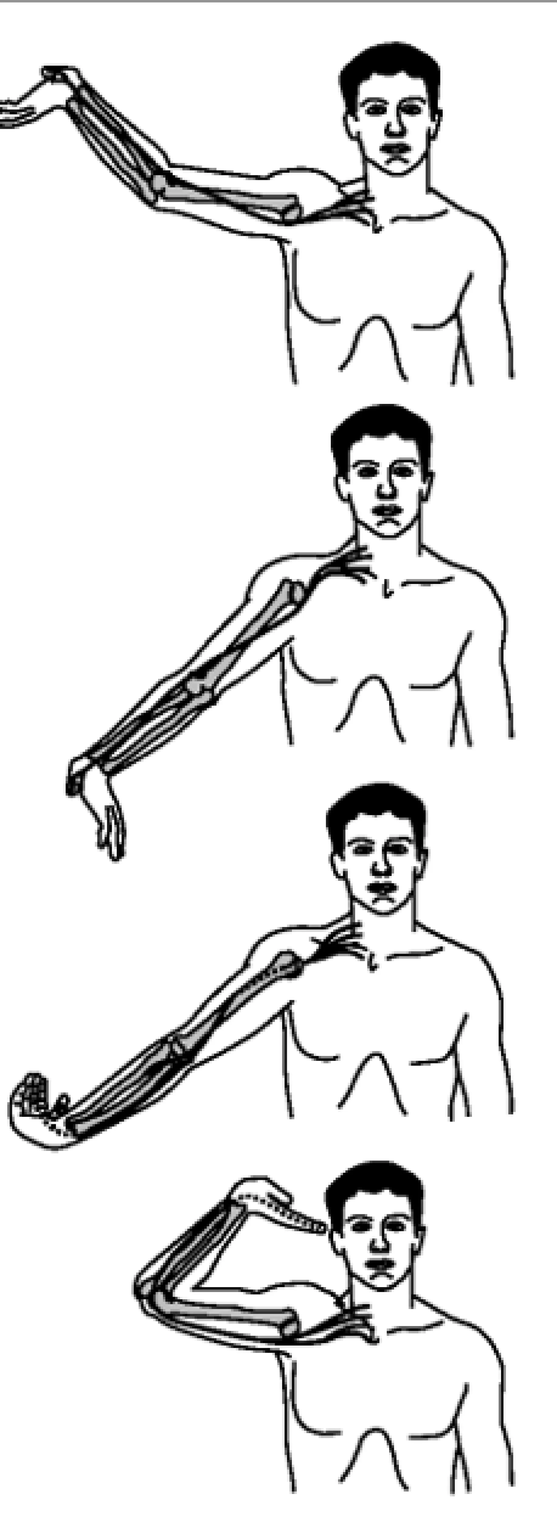 Nerve test